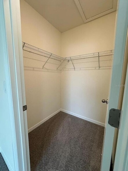 Building Photo - 299 Mangrove Shade Cir