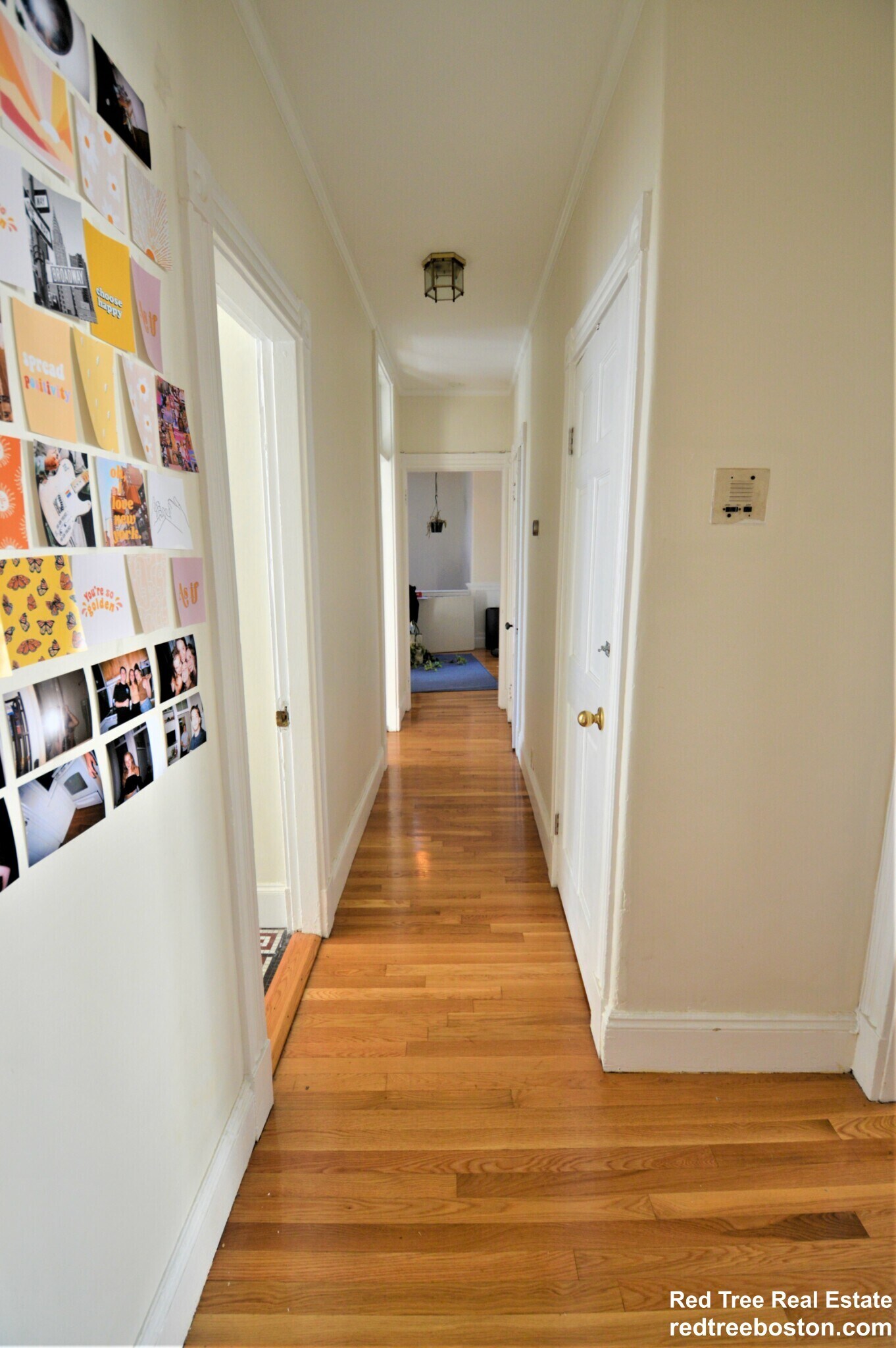 Building Photo - 6 Colliston Rd
