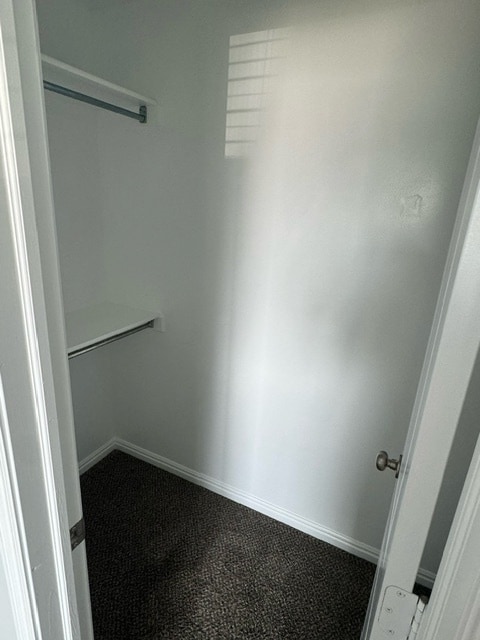 Building Photo - 163 Savannah Ln