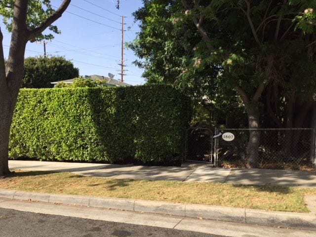 Primary Photo - 1807 19th St