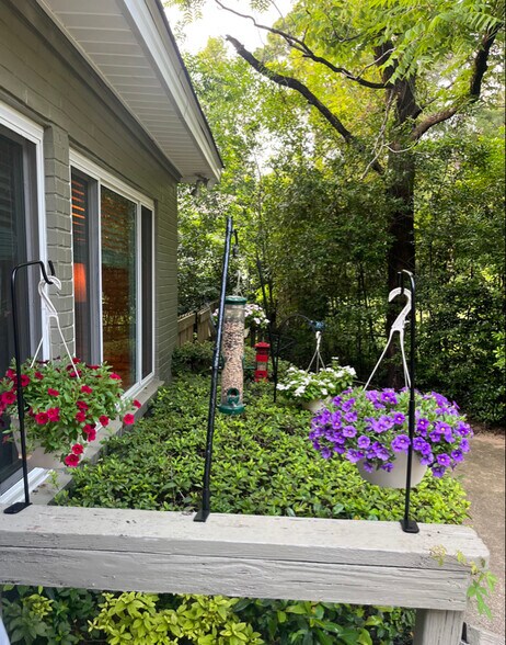 Building Photo - 315 Bomar Pl