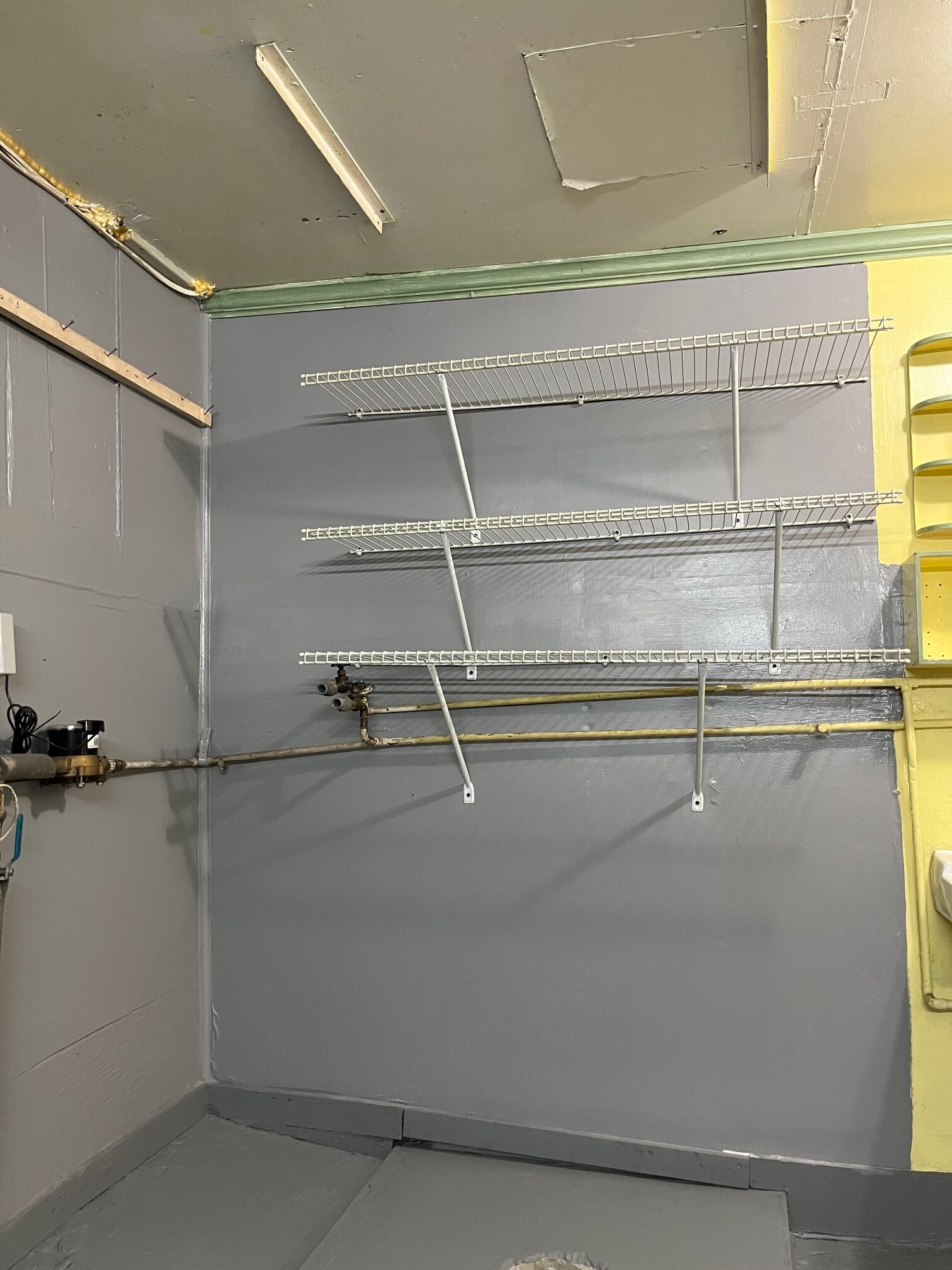 Basement Storage - 234 W Willow St