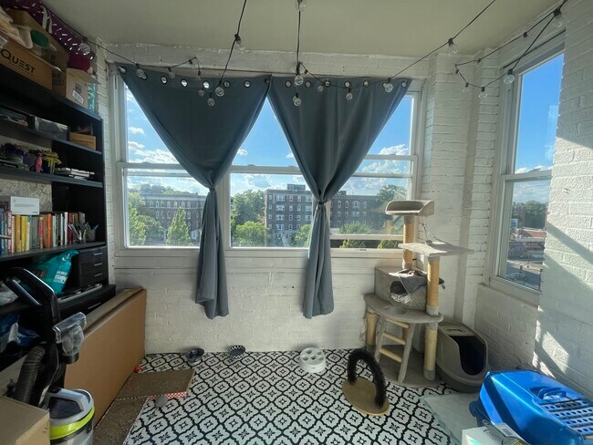 Building Photo - 1677 Commonwealth Ave