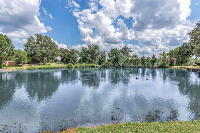 Building Photo - 7520 Crystal Lake Dr