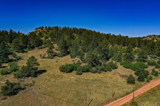 Building Photo - Backcountry Living