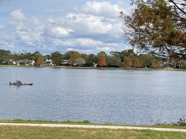 Beautiful Lake Wekiva- backyard view - 556 Wekiva Cove Rd