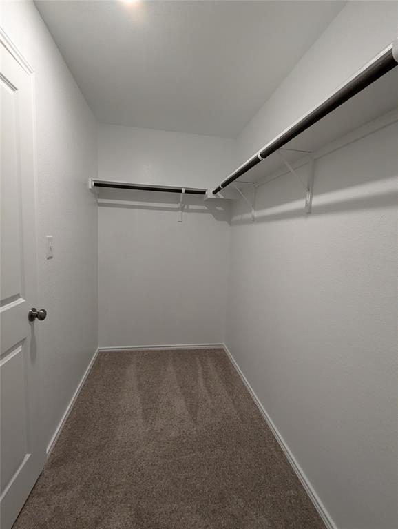 Building Photo - 220 Northern Pintail Dr