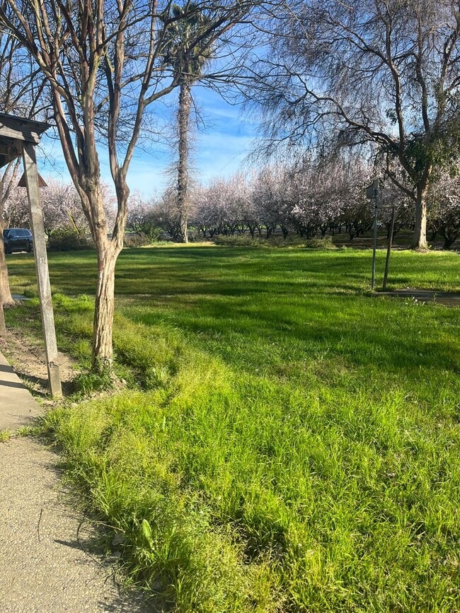 Building Photo - 2 bedroom 2 bath Country House with Big Den