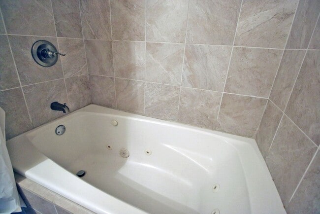 Building Photo - Fabulous 4 bedroom 2.5 bath Forest Acres home