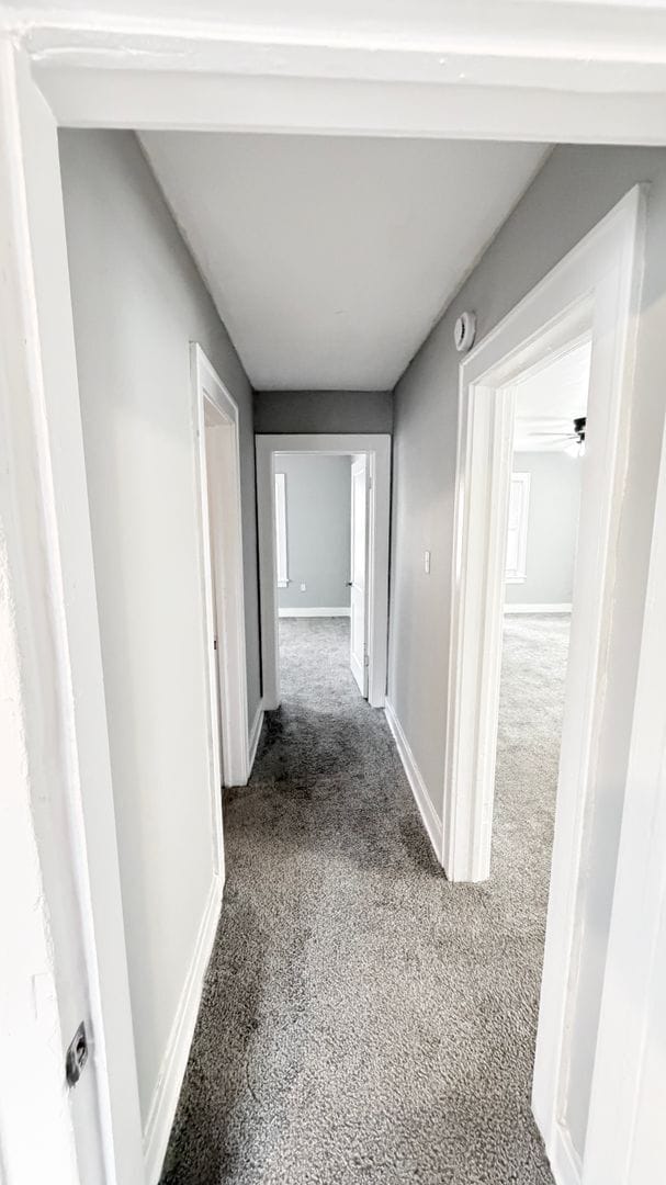 Building Photo - 2114 S Scott Ave