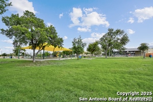 Building Photo - 1303 Lombrano St