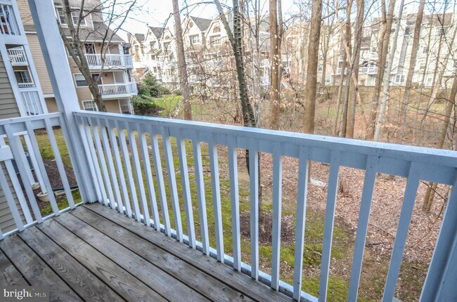 Building Photo - 10715 Hampton Mill Terrace