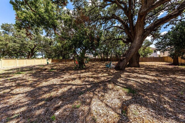 Building Photo - 412 San Gabriel River Rd