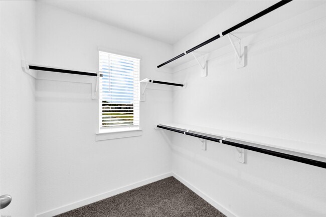 Building Photo - 3015 Ocean Cay Dr