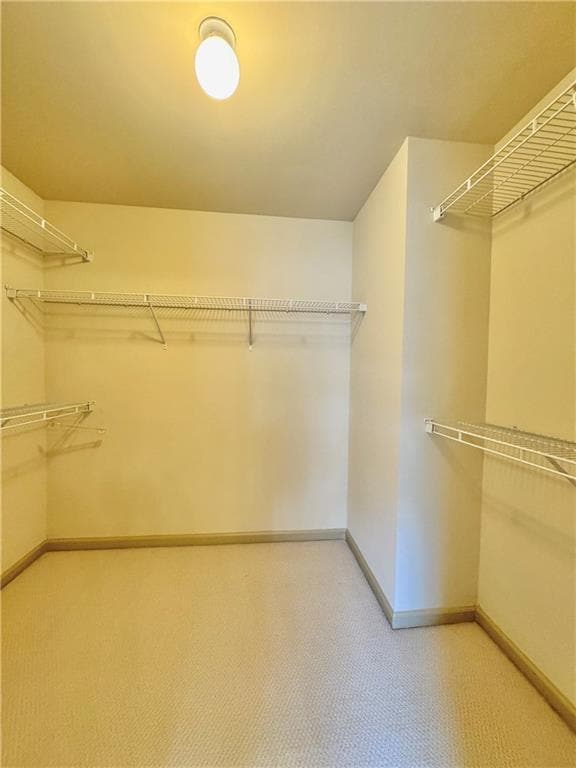 Building Photo - 2727 Staunton Dr