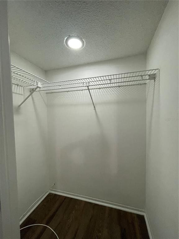 Building Photo - 112 Palmetto Ct