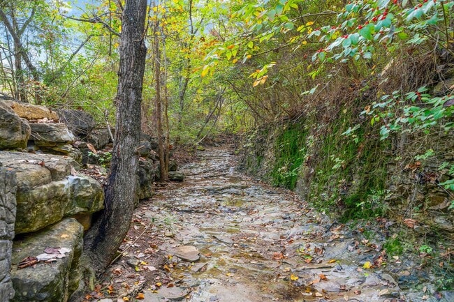 Building Photo - Modern 3-Bedroom Home Near Branson Landing – Available Now!