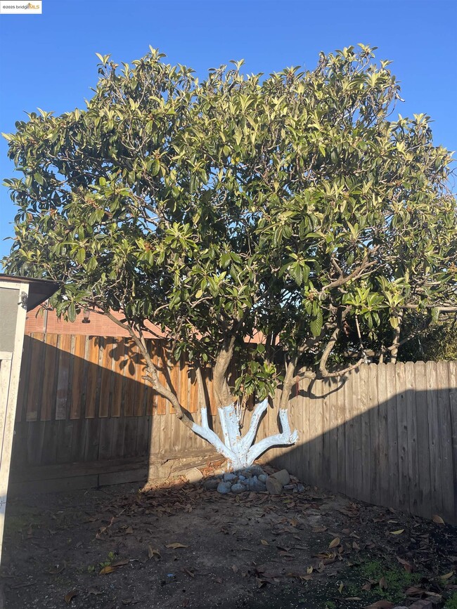 Building Photo - 3525 Bissell Ave