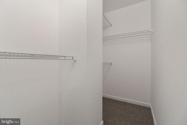 Building Photo - 1043 Downing Ct