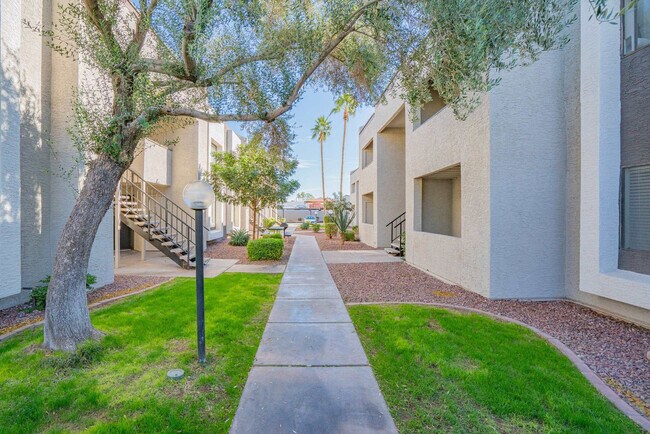 Building Photo - 8550 E McDowell Rd