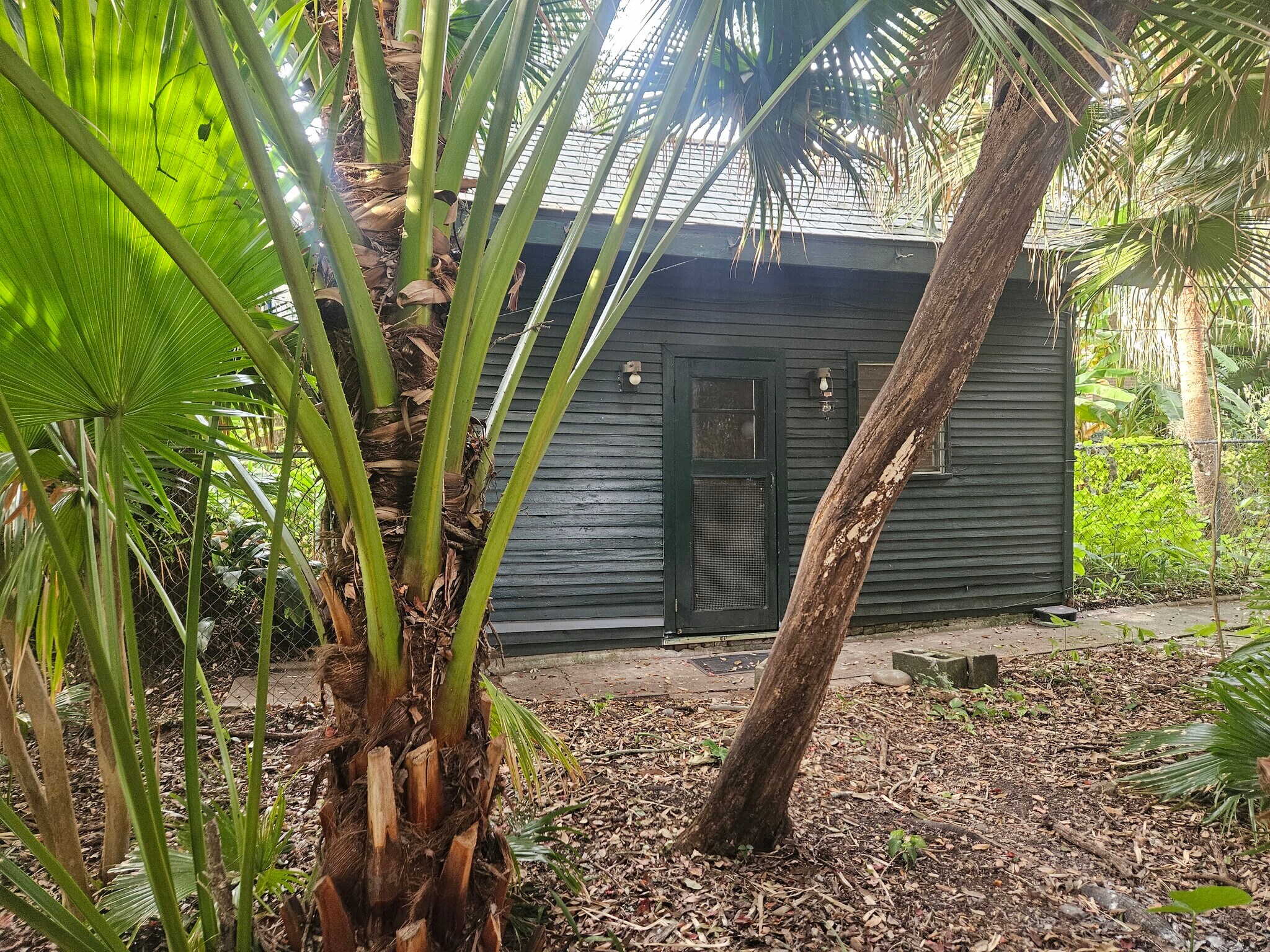 Cottage Entrance - 2326 Esplanade Ave