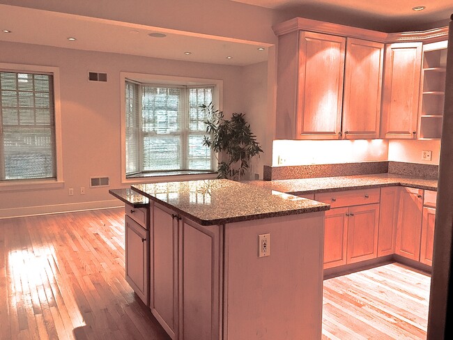 Huge Fully-Equipped Chef's Kitchen - 709 Copeland St