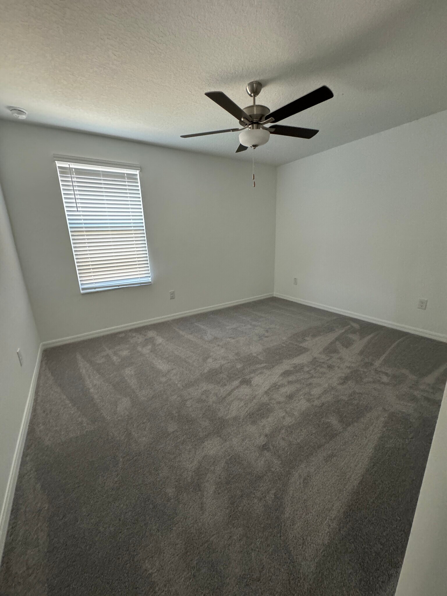 4th Bedroom - 2505 Leonia Ln
