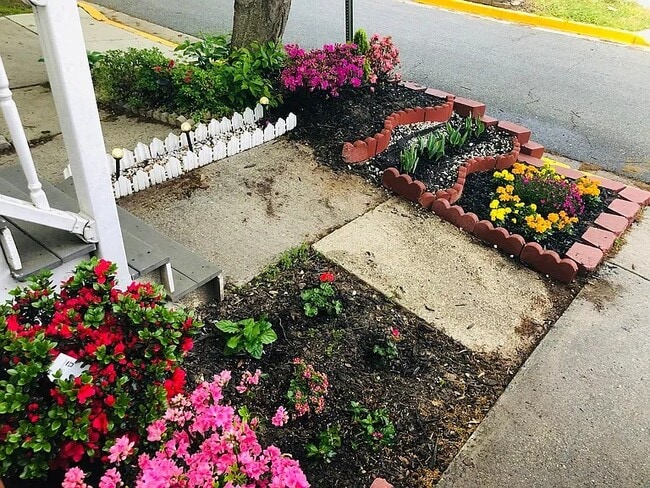 Building Photo - 18904 Snow Fields Cir