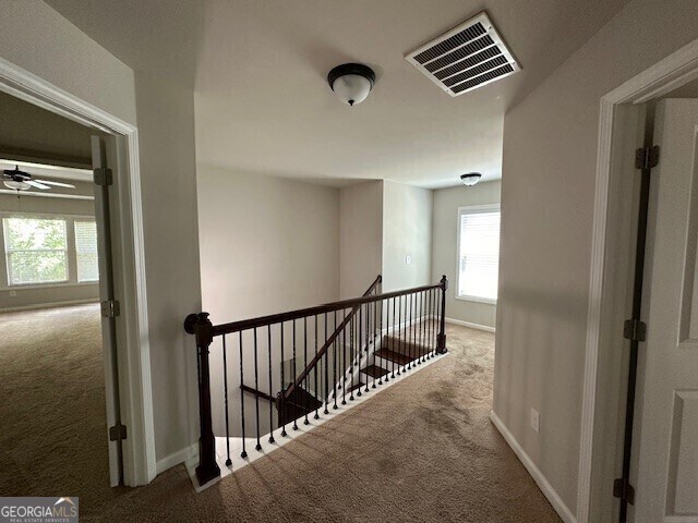 Building Photo - 11601 Davenport Ln