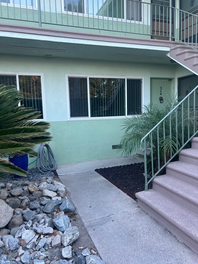 Primary Photo - Amor Apartments