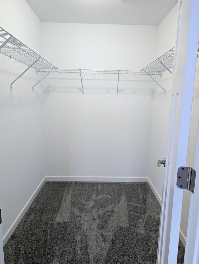 Building Photo - 1241 Gillespie Ln