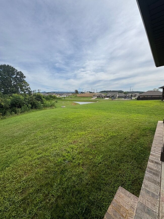 Building Photo - 203 Rye Cir