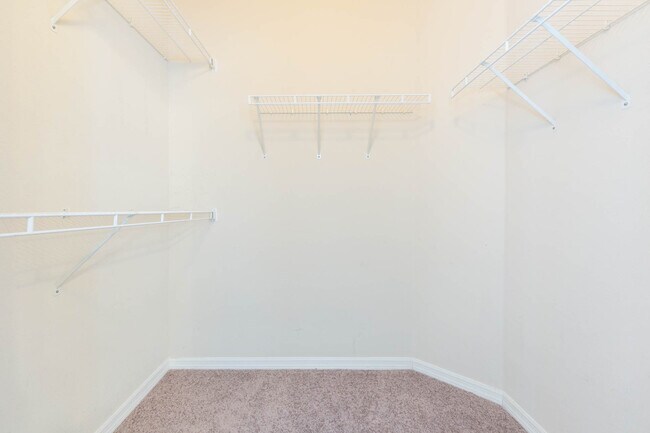 primary closet - 5808 Fishhawk Ridge Dr