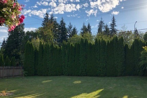 Building Photo - 13008 132nd Ave NE