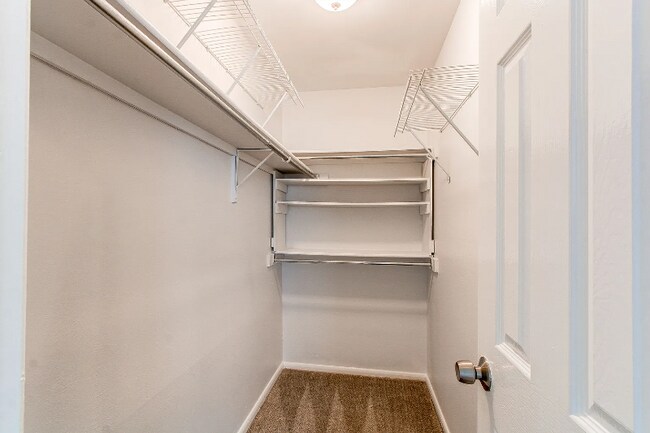 Building Photo - 3043 S Ursula Cir