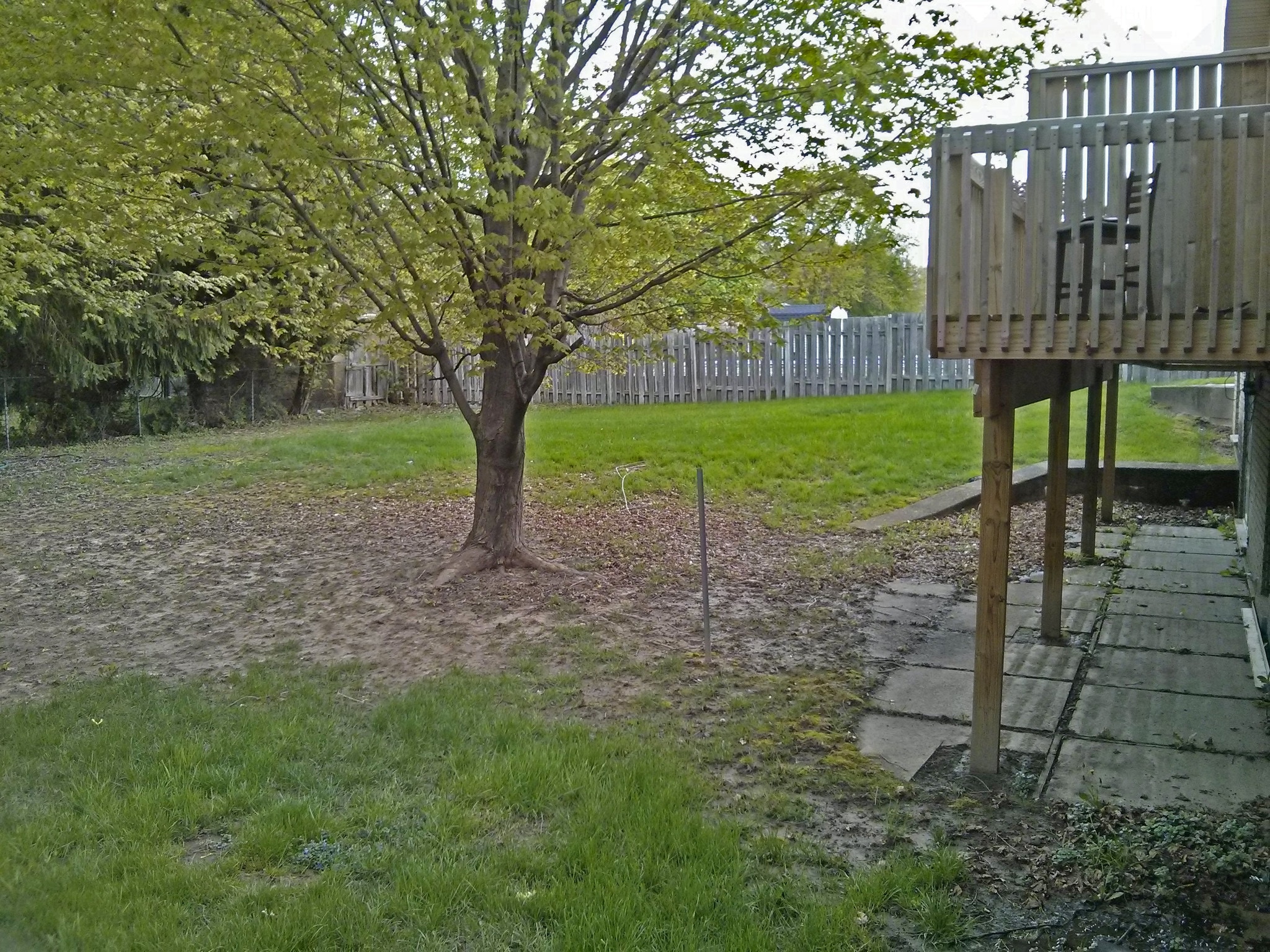 Backyard - 4149 Curwood Ave SE