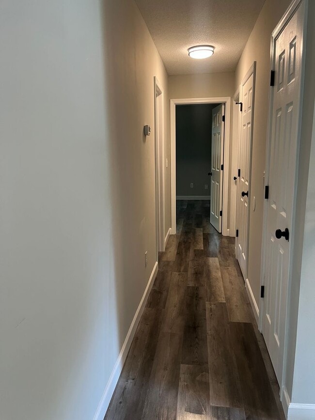 Building Photo - Freshly Renovated & Ideally Located -- You...