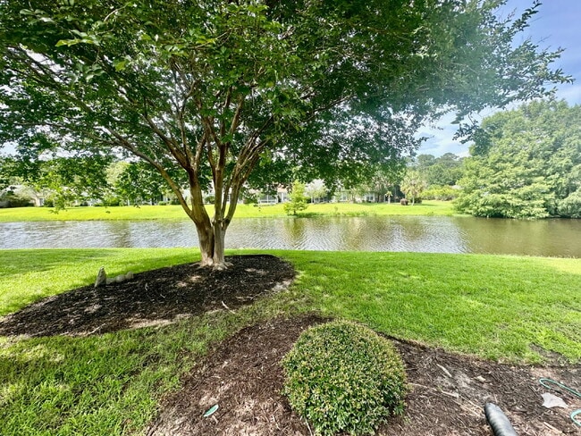 Building Photo - Gorgeous Updated Three Bedroom Home in Sun...