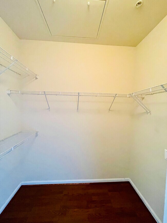 Master walk in closet - 11327 Aristotle Dr