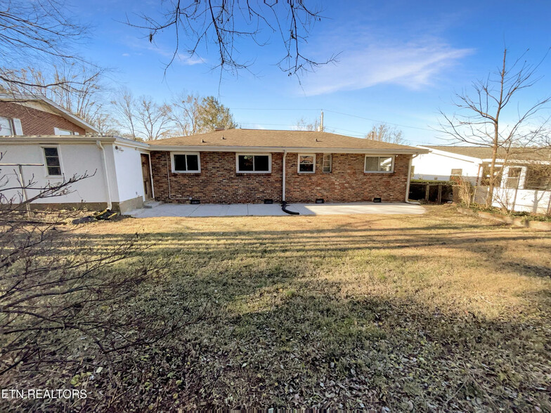 Backyard - 3716 Timber Cir