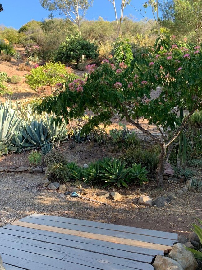 Building Photo - best of both worlds