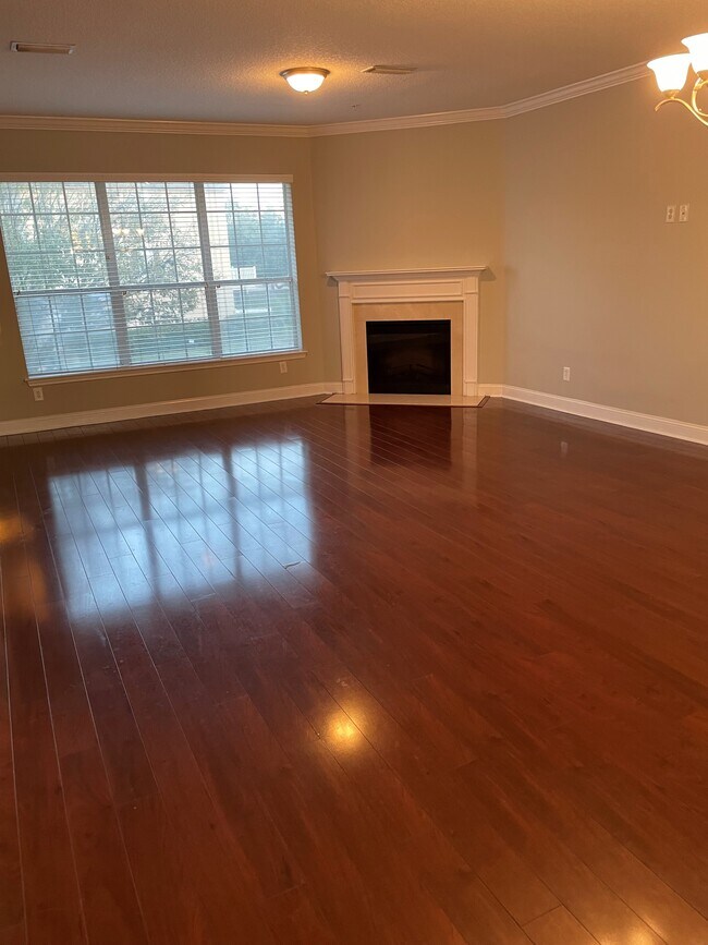 Living Room - 4528 Capital Dome Dr