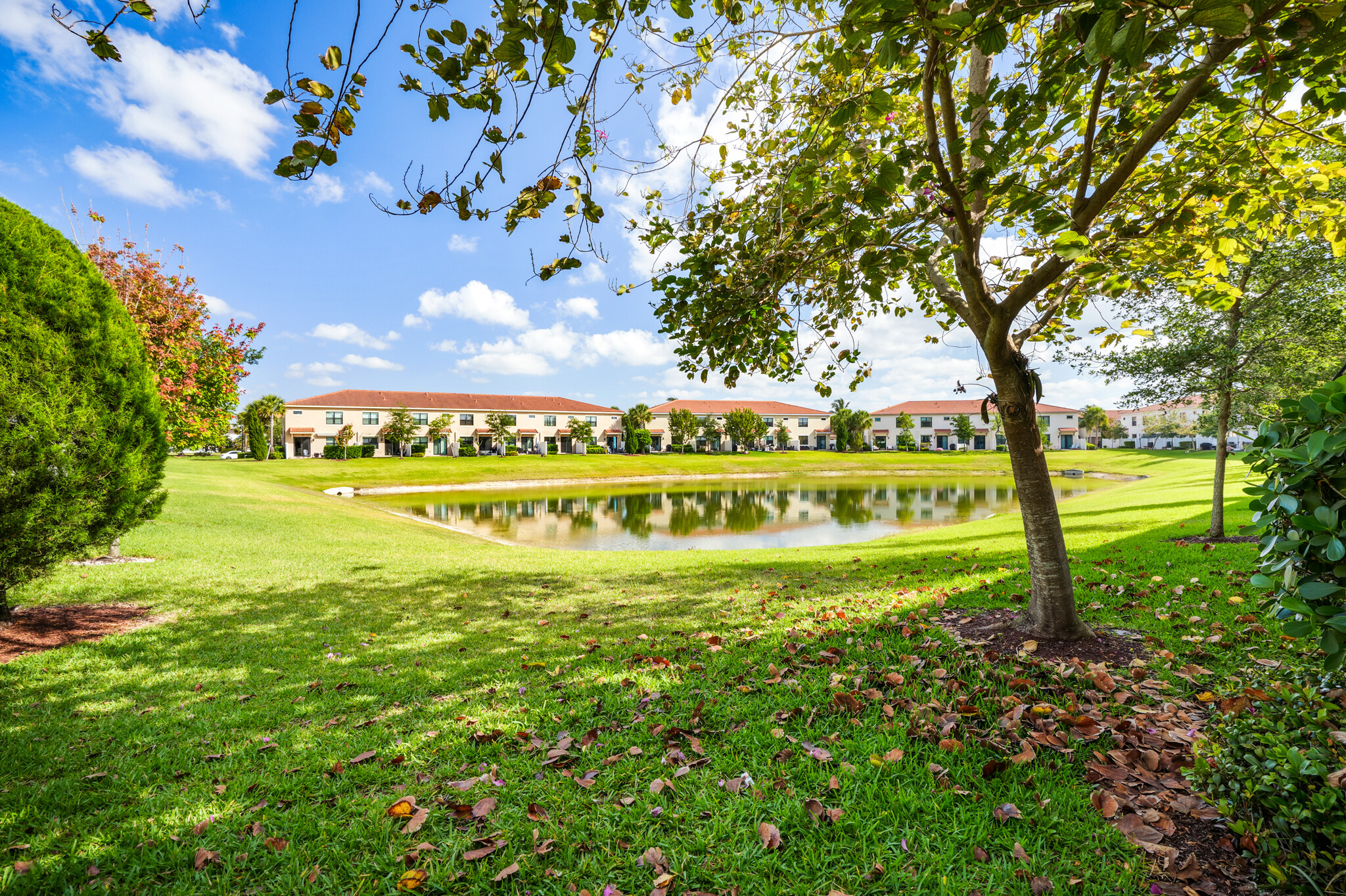 View from Back Patio - 10103 Akenside Dr