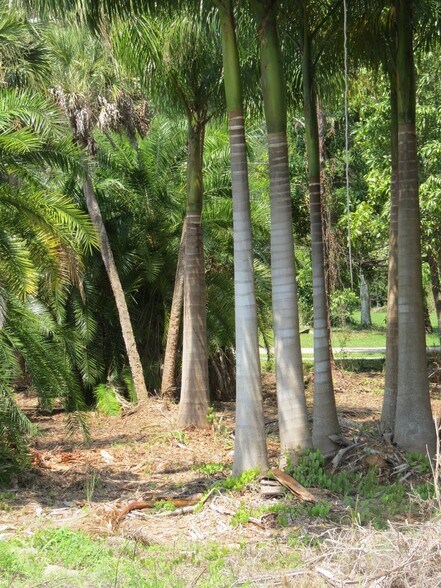 Palmesta Preserve - 27490 Palmesta Cir