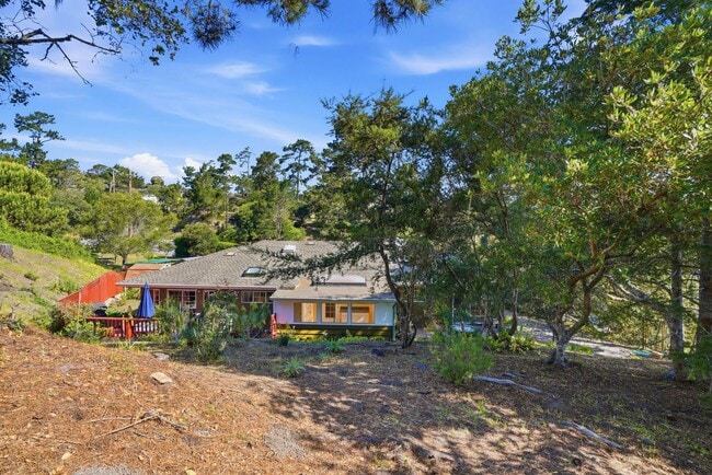 Building Photo - 241 Soledad Dr