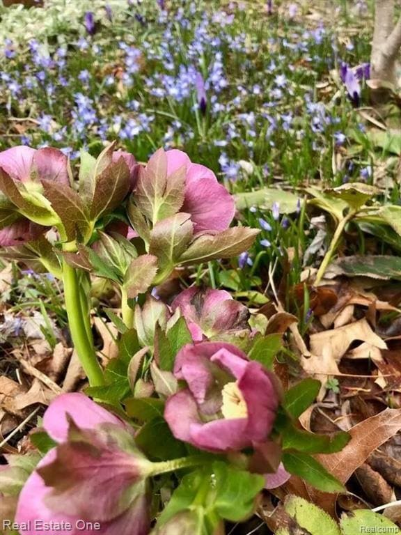 Building Photo - 5837 Folkstone Dr