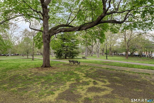 Building Photo - 556 Chapel St