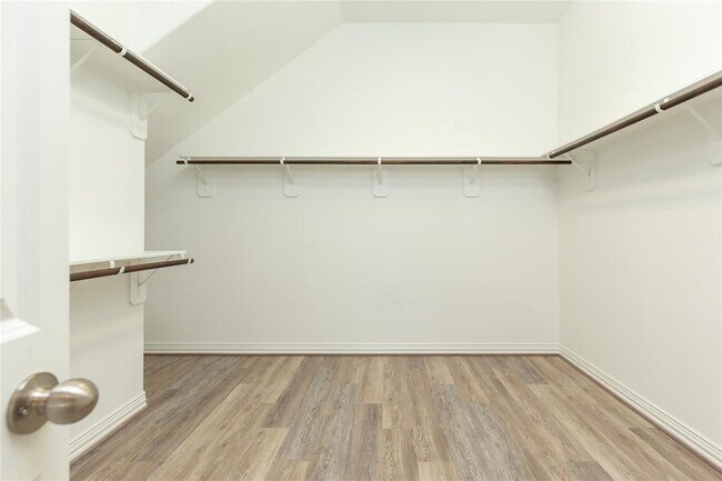 Building Photo - 24131 Cannon Anello Ct