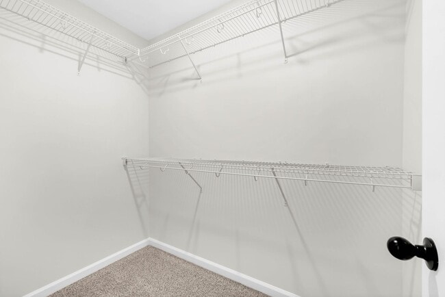 Building Photo - 1196 Cottonwood Dr