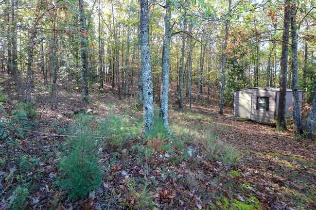 Building Photo - Great Home Close to Pell City